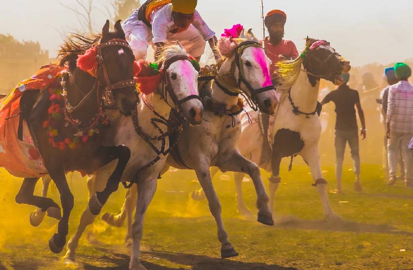 camel safari in Jaisalmer
