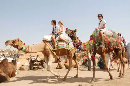 adventure camping in Rajasthan