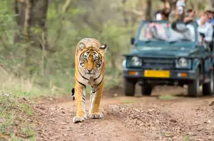 adventure camping in Rajasthan