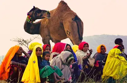 adventure camping in Rajasthan